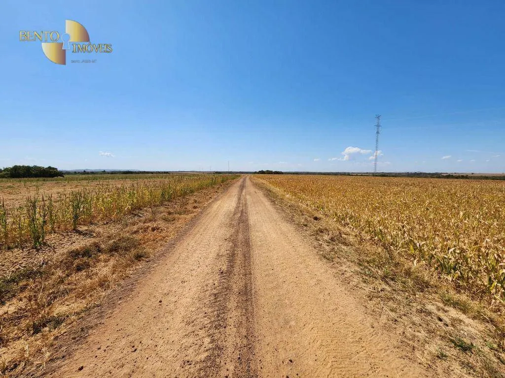 Fazenda à venda de 2.246 ha em Paranatinga, MT, Brasil