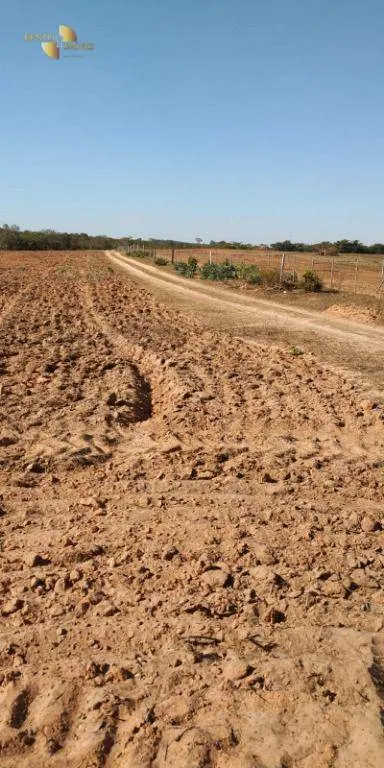 Fazenda à venda de 400 ha em Guiratinga, MT, Brasil