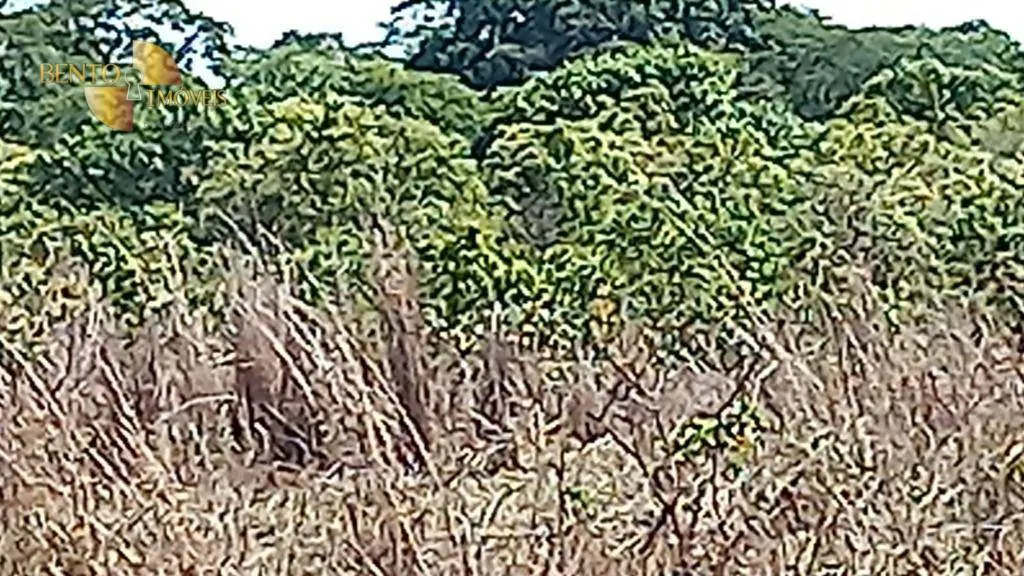 Fazenda à venda de 5.400 ha em Planalto da Serra, MT, Brasil