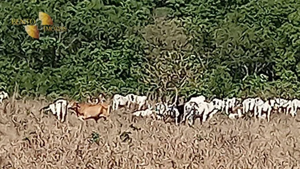 Fazenda à venda de 5.400 ha em Planalto da Serra, MT, Brasil