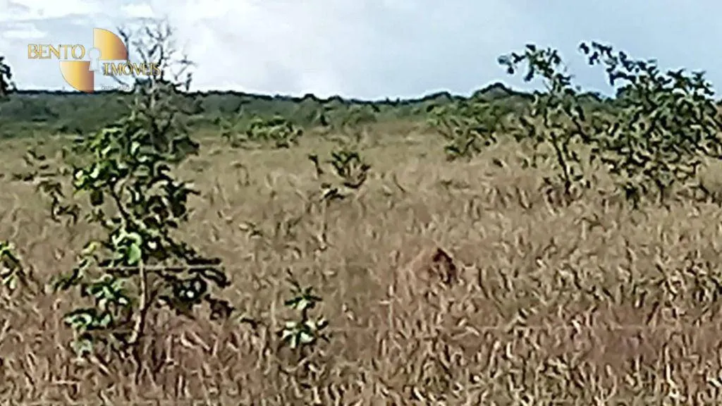 Fazenda à venda de 5.400 ha em Planalto da Serra, MT, Brasil