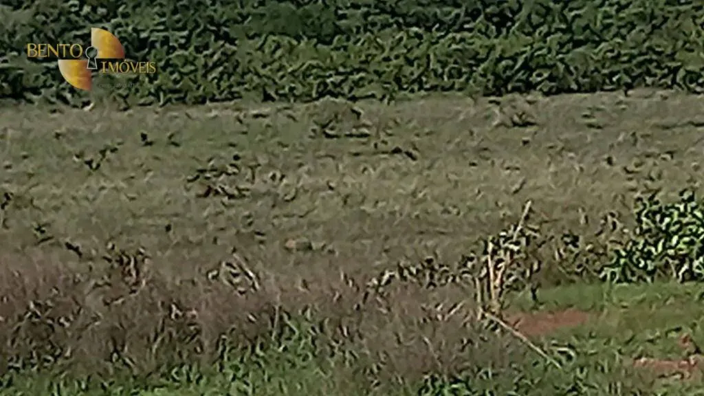 Fazenda à venda de 5.400 ha em Planalto da Serra, MT, Brasil
