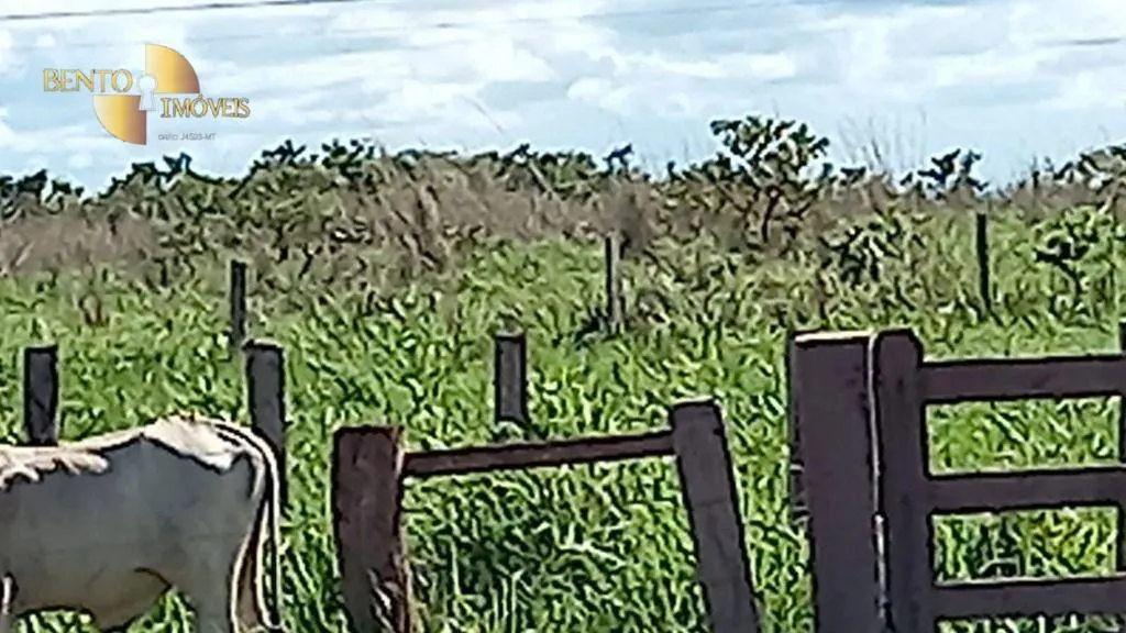 Fazenda à venda de 5.400 ha em Planalto da Serra, MT, Brasil