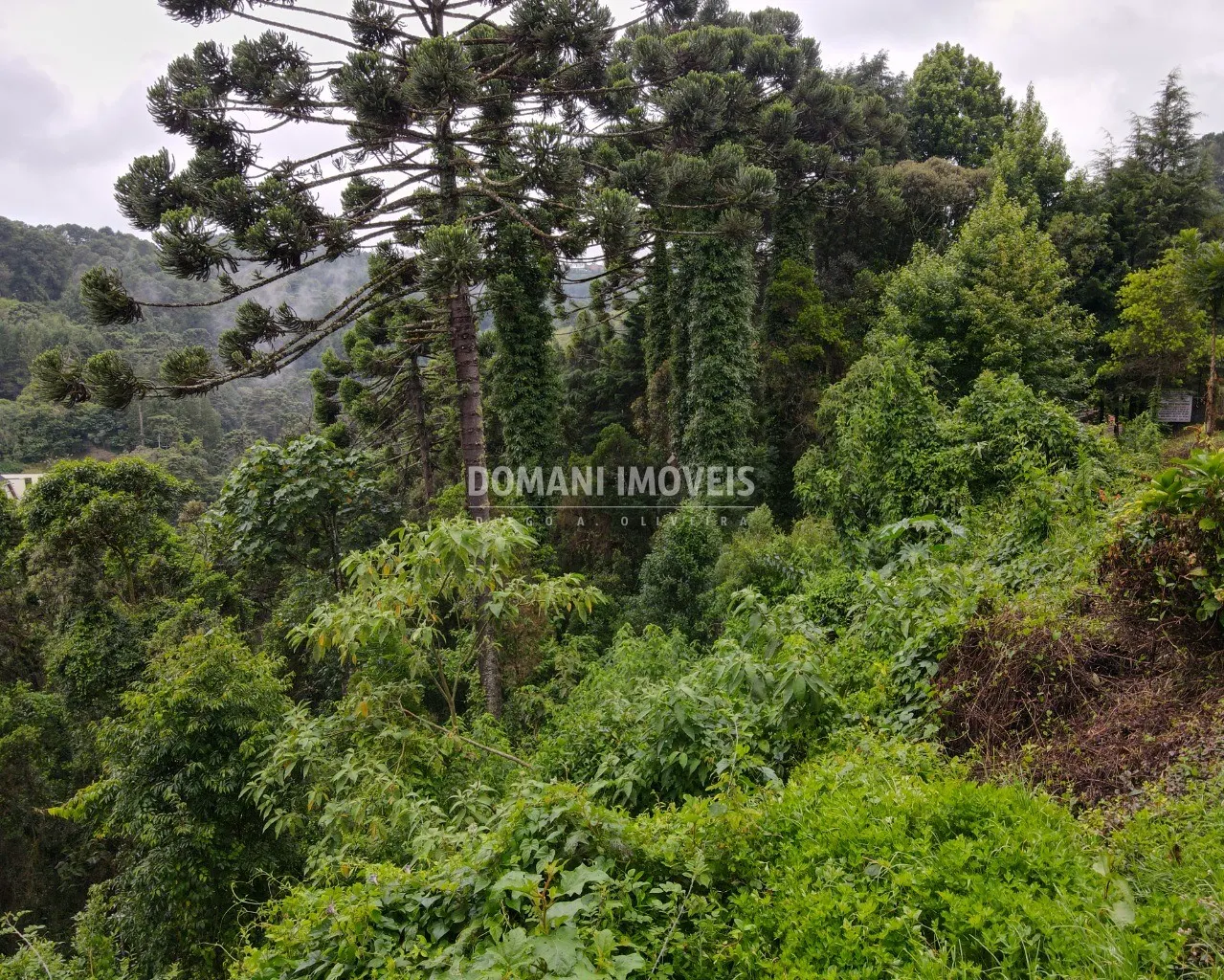 Plot for sale of 1,110 m² in Campos do Jordão, SP, Brazil