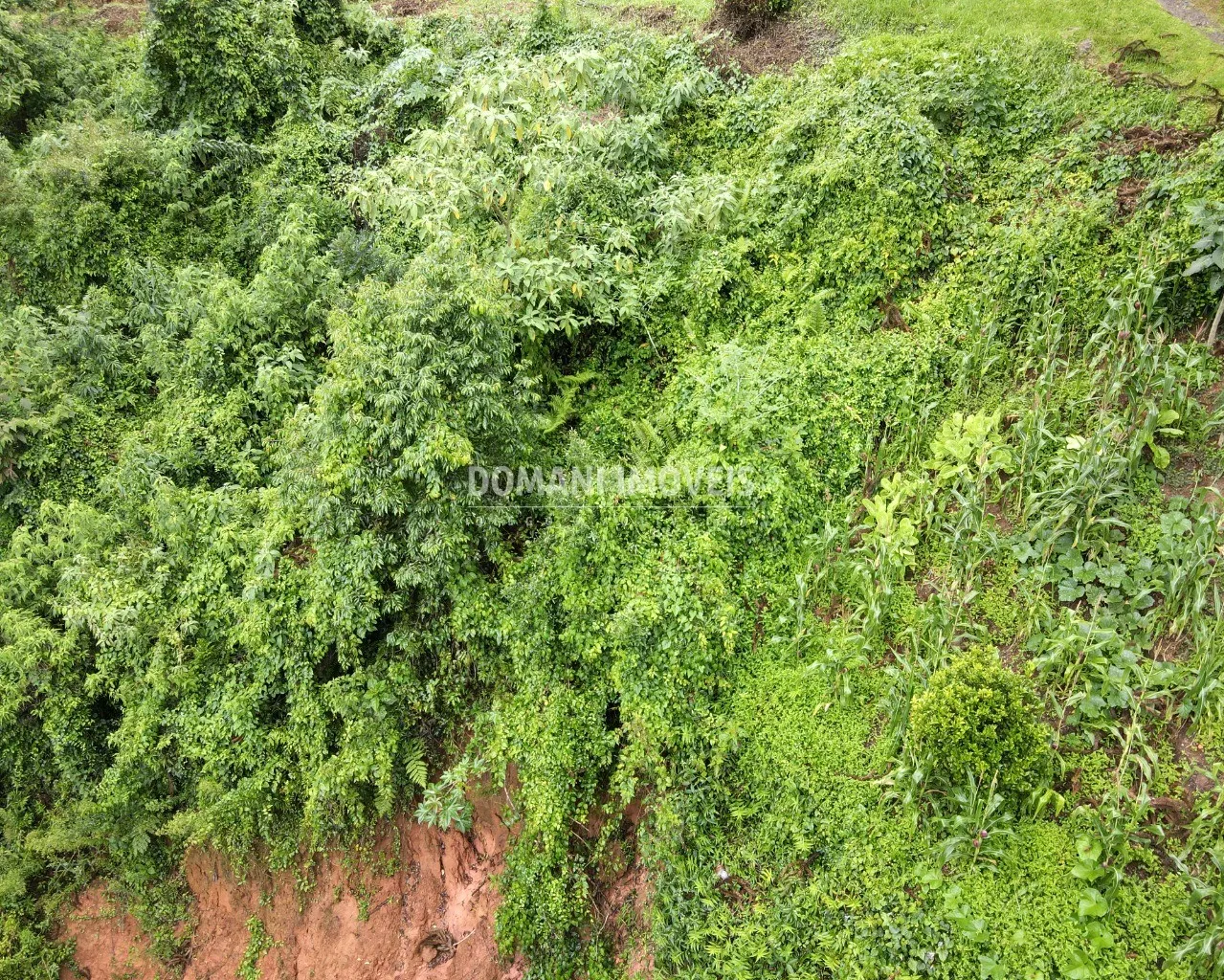 Plot for sale of 1,110 m² in Campos do Jordão, SP, Brazil