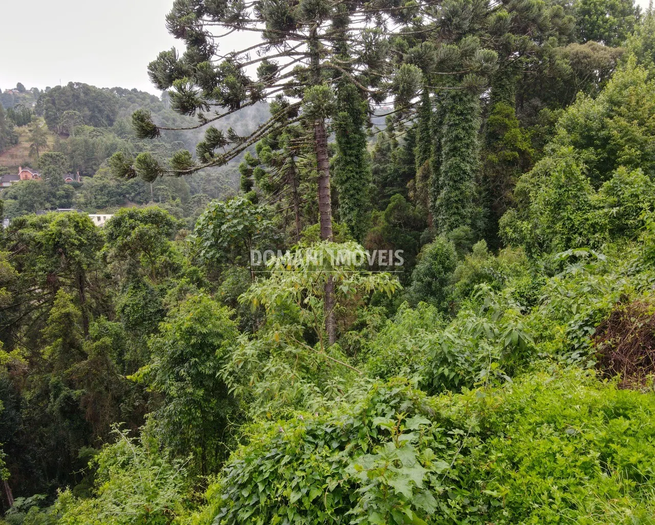 Plot for sale of 1,110 m² in Campos do Jordão, SP, Brazil