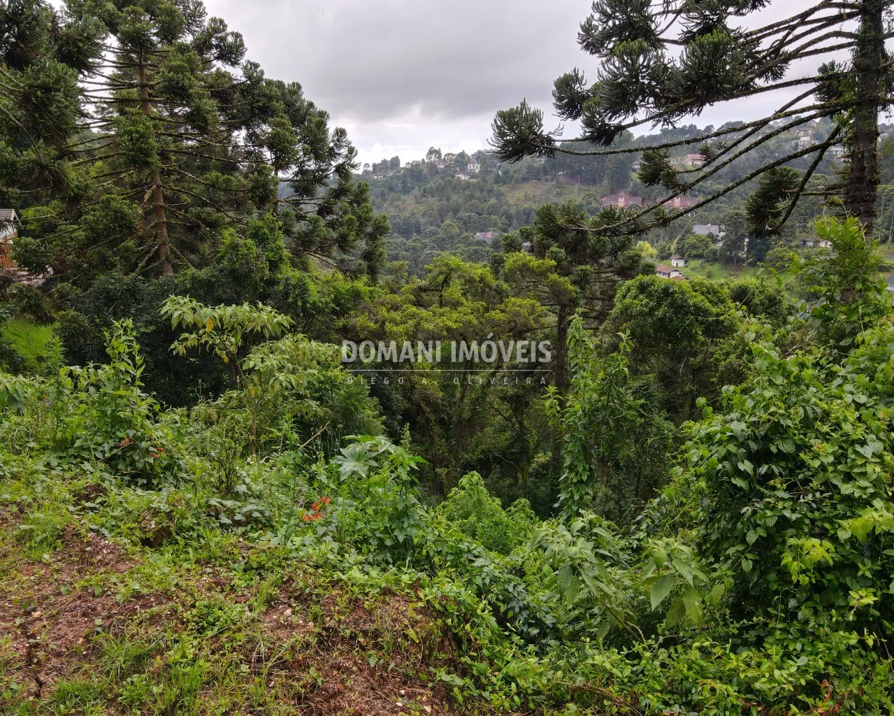 Plot for sale of 1,110 m² in Campos do Jordão, SP, Brazil