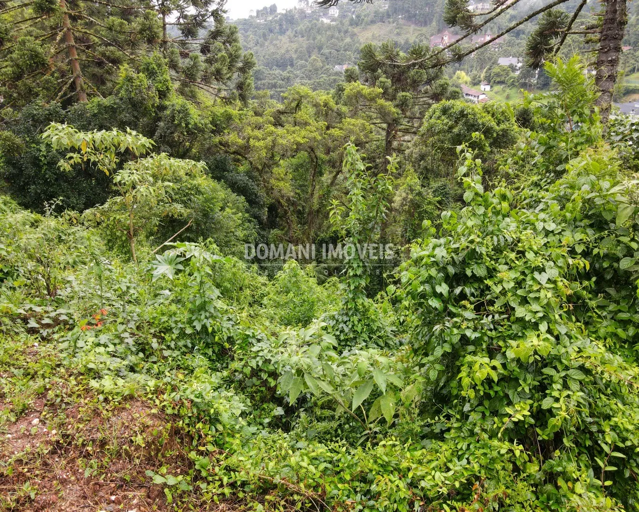 Plot for sale of 1,110 m² in Campos do Jordão, SP, Brazil