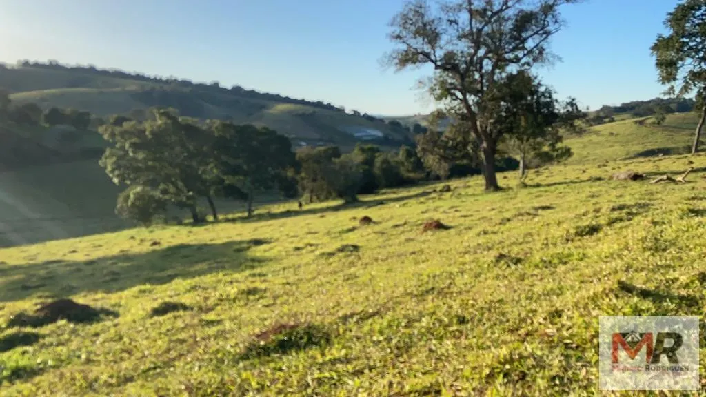 Sítio à venda de 34 ha em Estiva, MG, Brasil