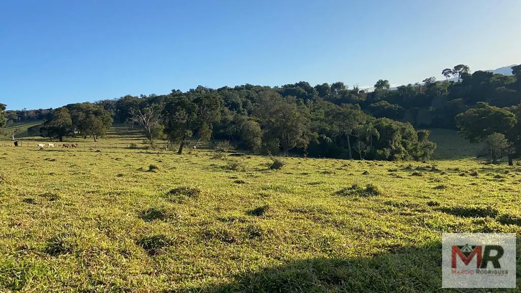 Sítio à venda de 34 ha em Estiva, MG, Brasil