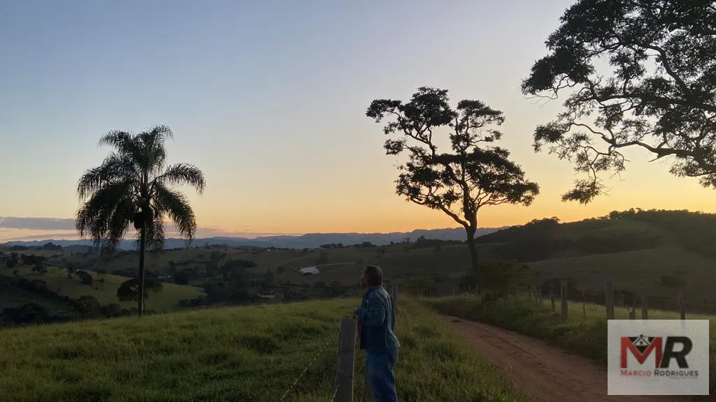 Sítio à venda de 34 ha em Estiva, MG, Brasil