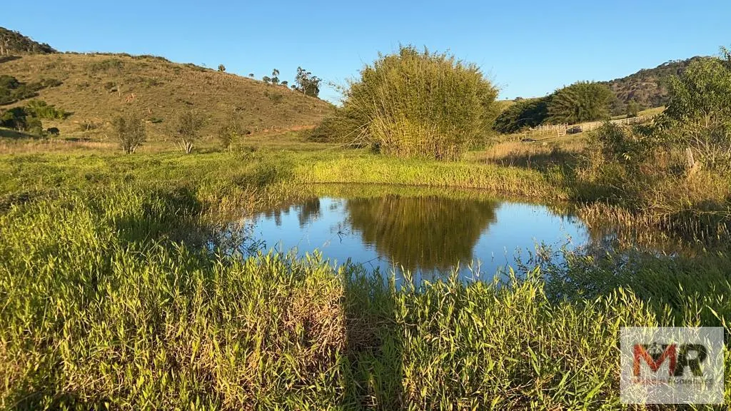 Sítio à venda de 34 ha em Estiva, MG, Brasil
