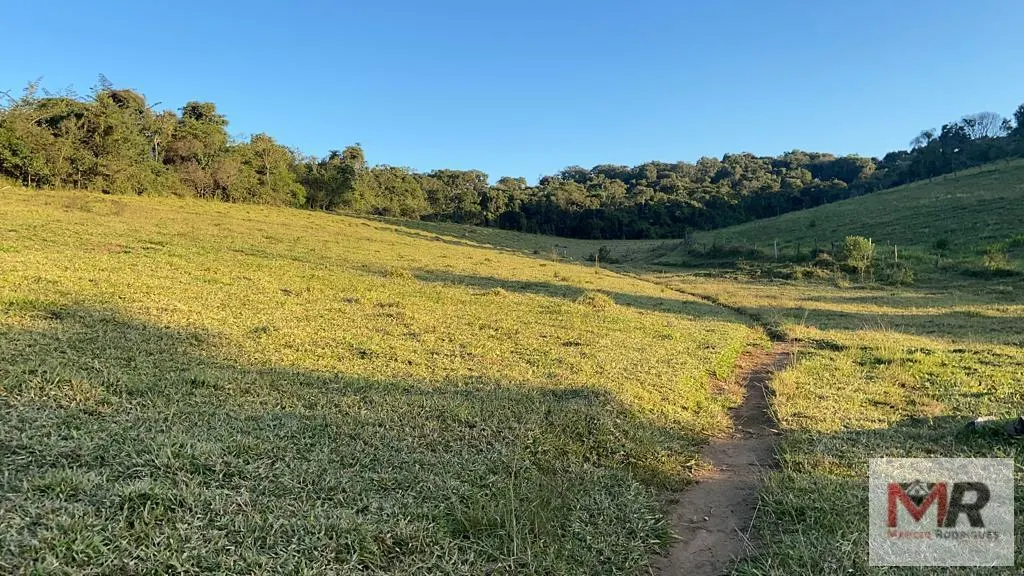 Sítio à venda de 34 ha em Estiva, MG, Brasil