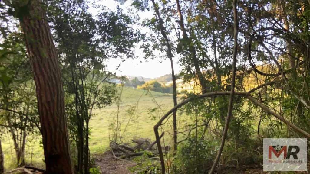 Sítio à venda de 34 ha em Estiva, MG, Brasil