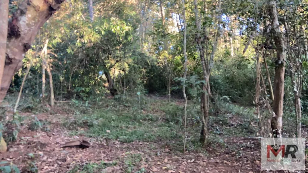 Sítio à venda de 34 ha em Estiva, MG, Brasil