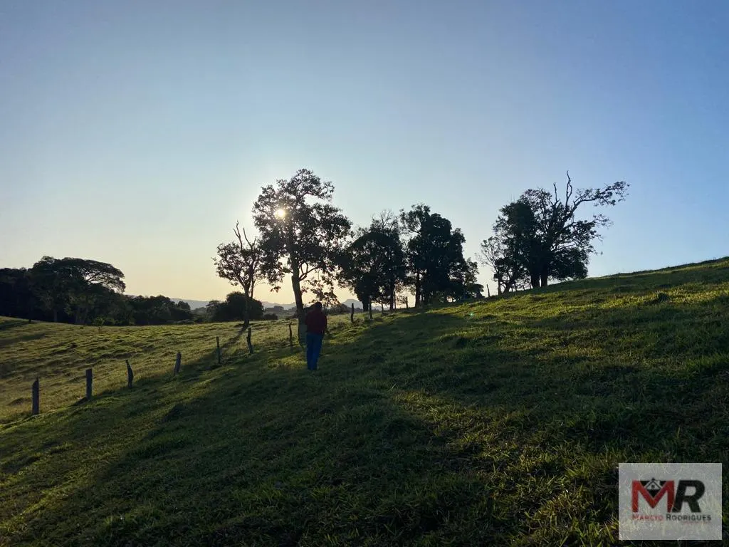 Sítio à venda de 34 ha em Estiva, MG, Brasil