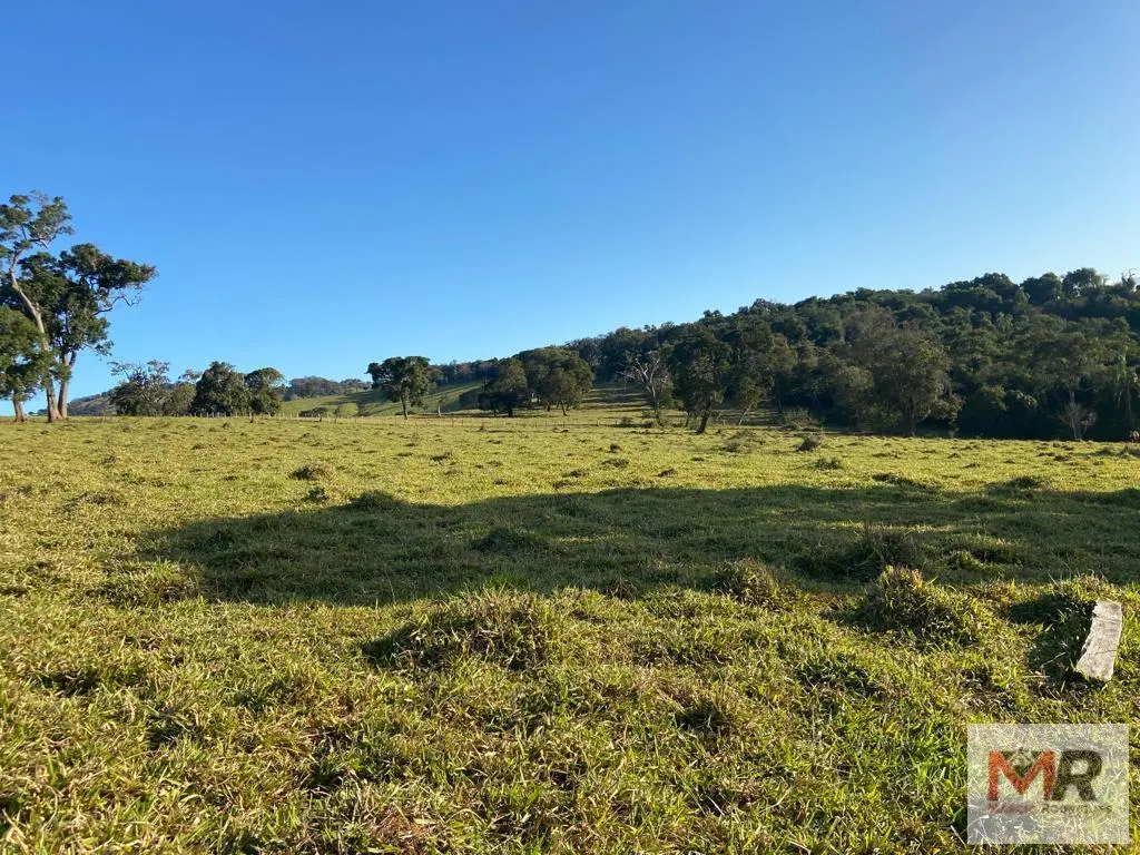 Sítio à venda de 34 ha em Estiva, MG, Brasil