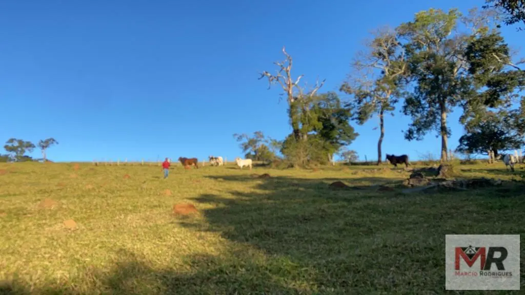 Sítio à venda de 34 ha em Estiva, MG, Brasil