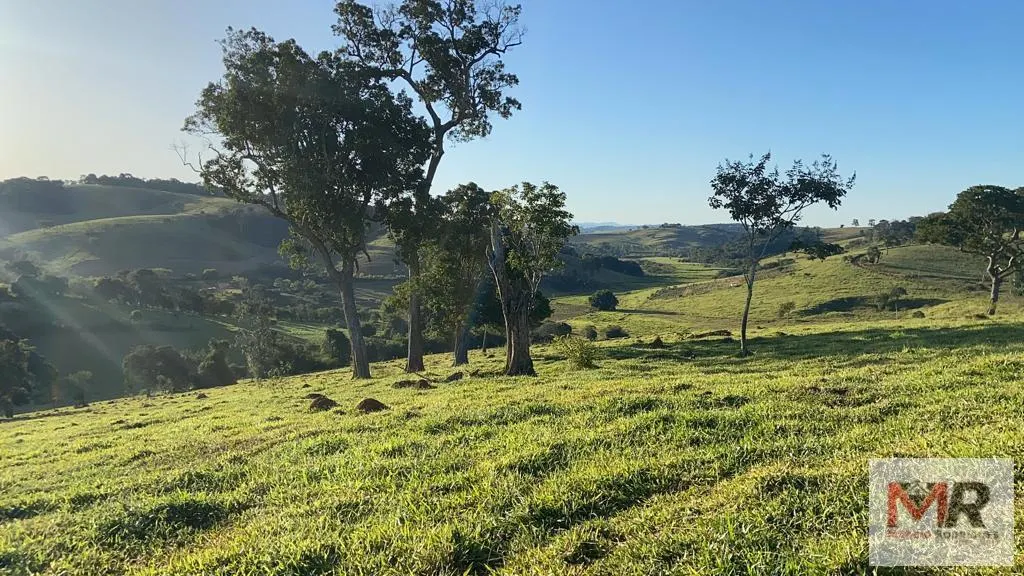 Sítio à venda de 34 ha em Estiva, MG, Brasil