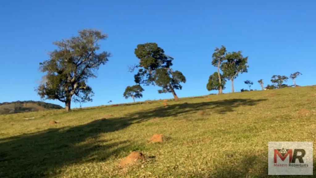 Sítio à venda de 34 ha em Estiva, MG, Brasil