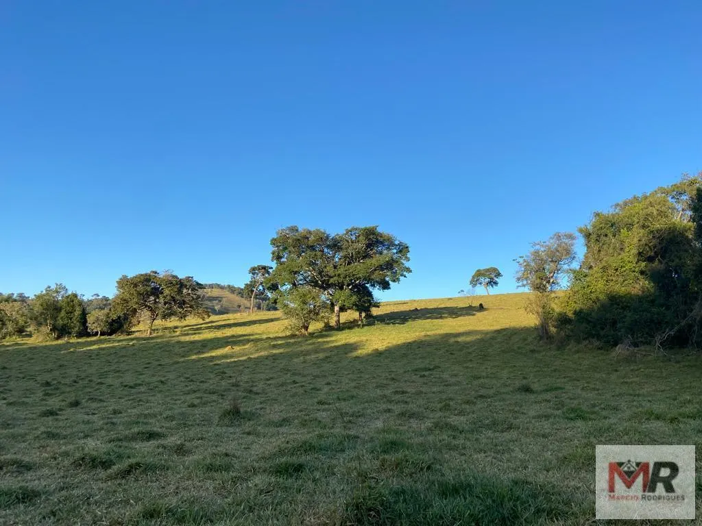 Sítio à venda de 34 ha em Estiva, MG, Brasil