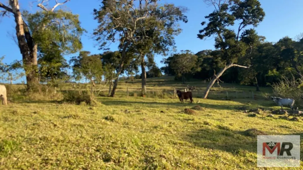 Sítio à venda de 34 ha em Estiva, MG, Brasil