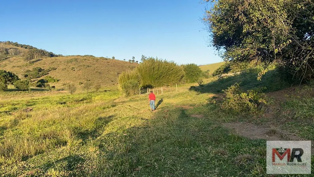 Sítio à venda de 34 ha em Estiva, MG, Brasil