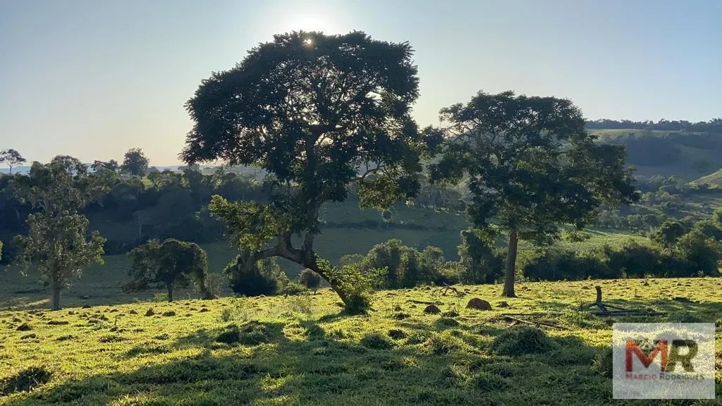 Sítio à venda de 34 ha em Estiva, MG, Brasil