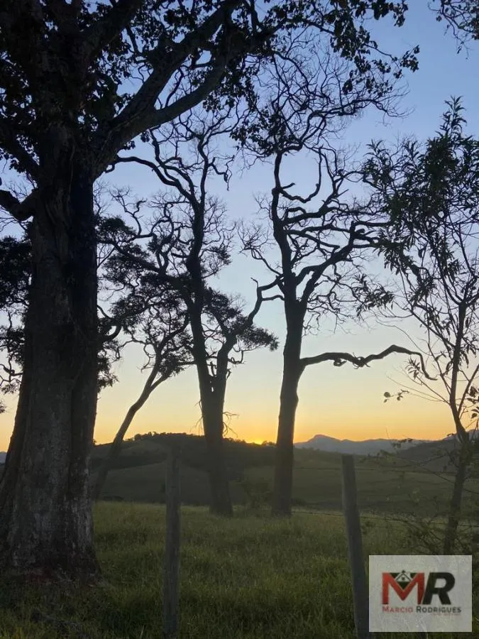 Sítio à venda de 34 ha em Estiva, MG, Brasil