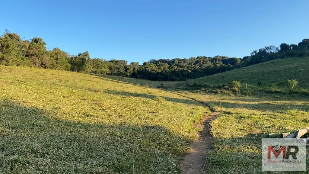 Sítio à venda de 34 ha em Estiva, MG, Brasil