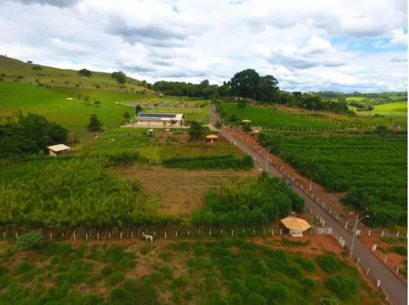 Fazenda à venda de 295 ha em Alfenas, MG, Brasil