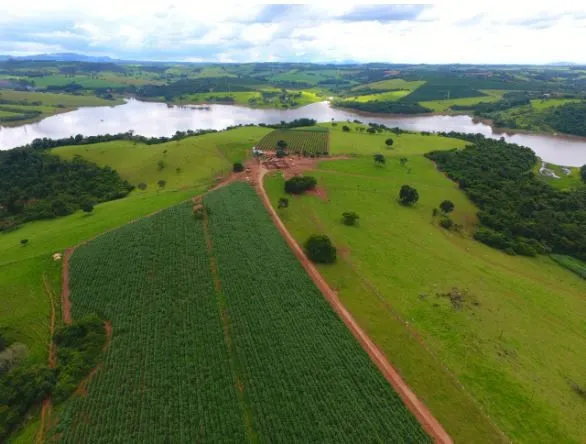 Fazenda à venda de 295 ha em Alfenas, MG, Brasil