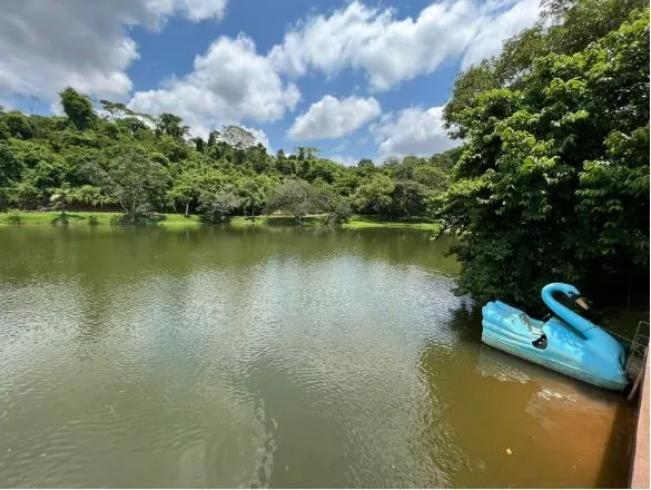 Fazenda à venda de 295 ha em Alfenas, MG, Brasil