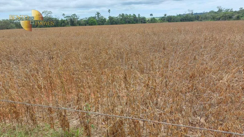 Fazenda à venda de 1.885 ha em Juína, MT, Brasil