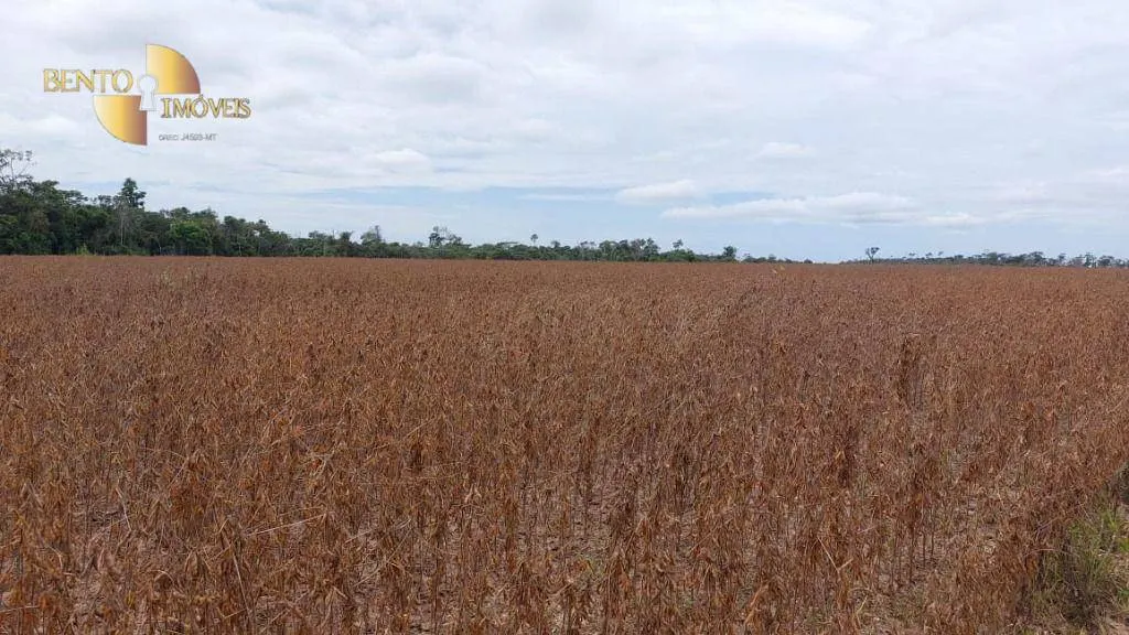 Fazenda à venda de 1.885 ha em Juína, MT, Brasil