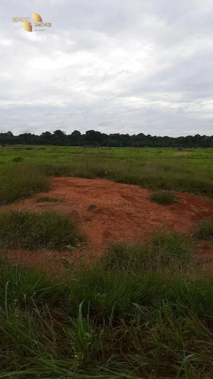 Fazenda à venda de 1.885 ha em Juína, MT, Brasil