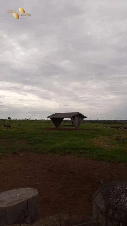 Fazenda à venda de 1.885 ha em Juína, MT, Brasil