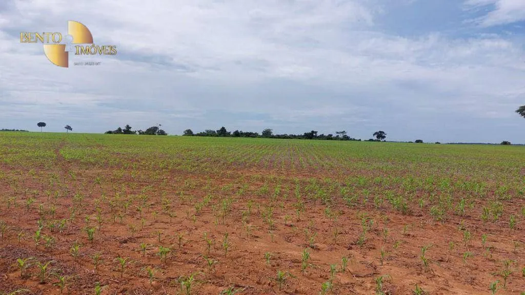 Fazenda à venda de 1.885 ha em Juína, MT, Brasil