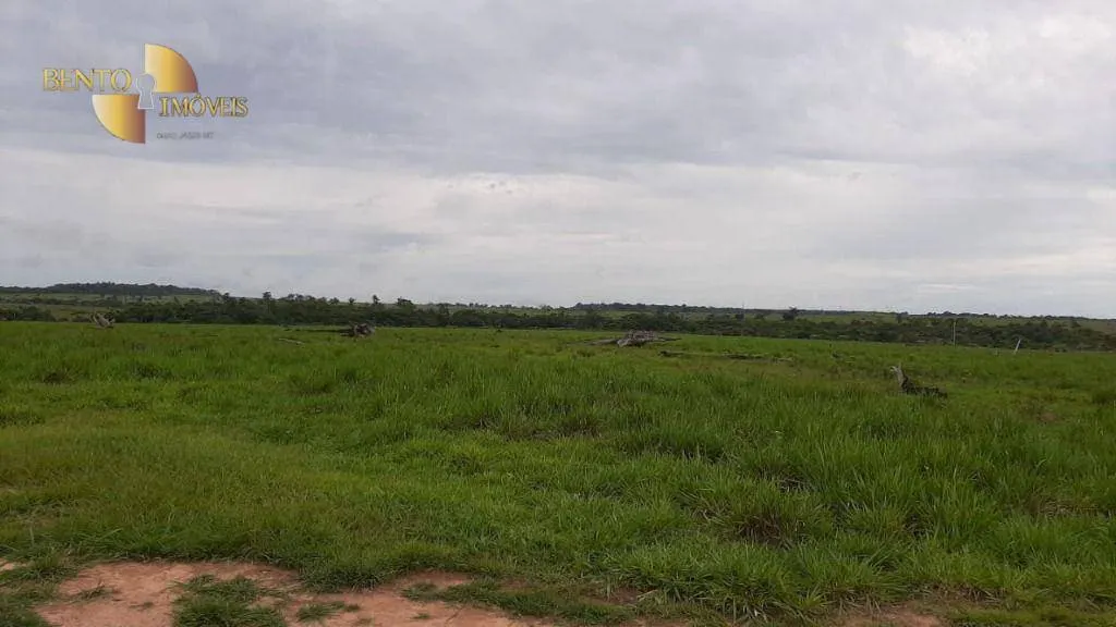 Fazenda à venda de 1.885 ha em Juína, MT, Brasil