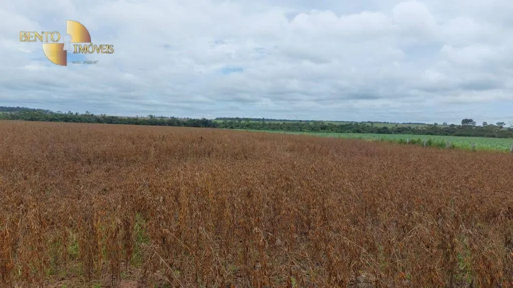 Fazenda à venda de 1.885 ha em Juína, MT, Brasil