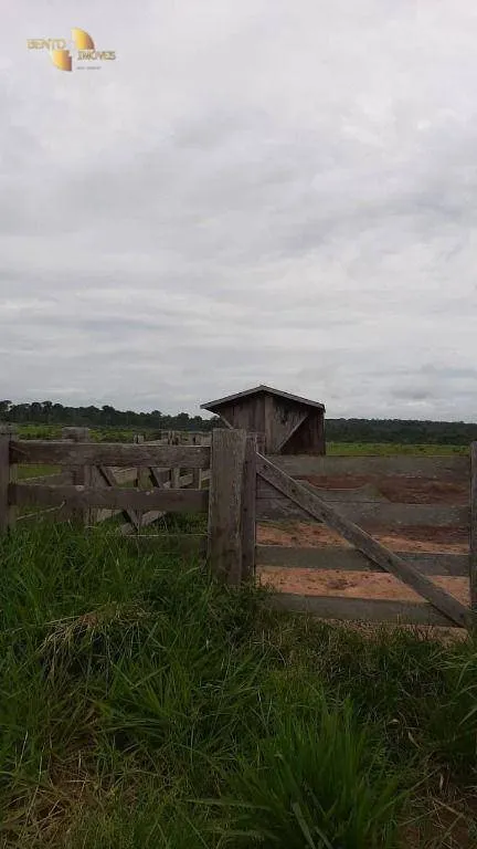 Fazenda à venda de 1.885 ha em Juína, MT, Brasil