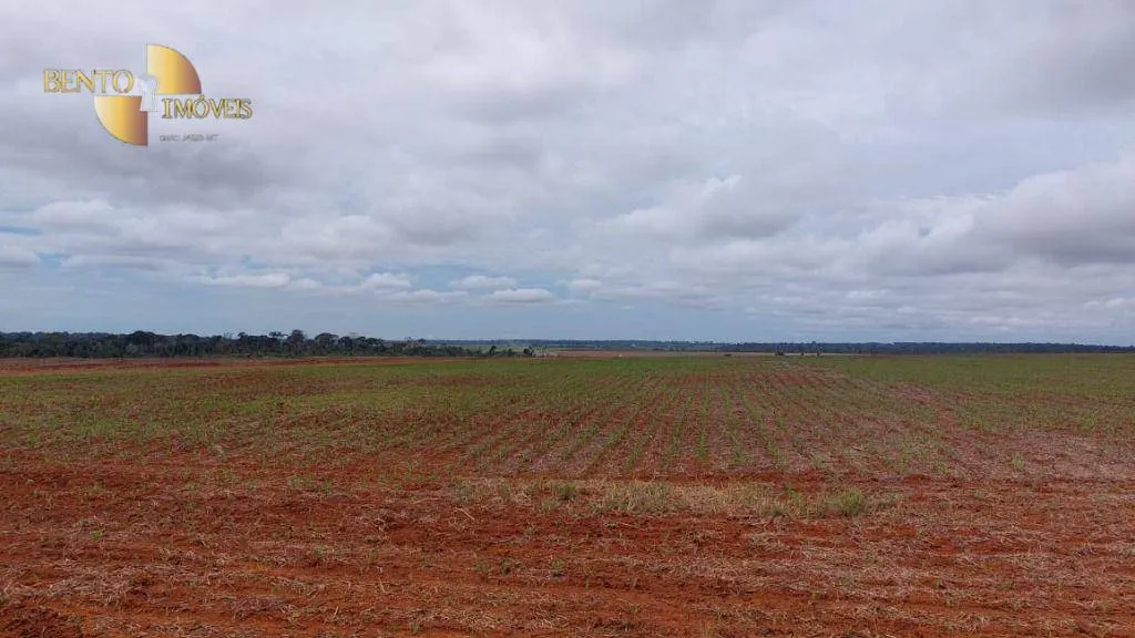 Fazenda à venda de 1.885 ha em Juína, MT, Brasil