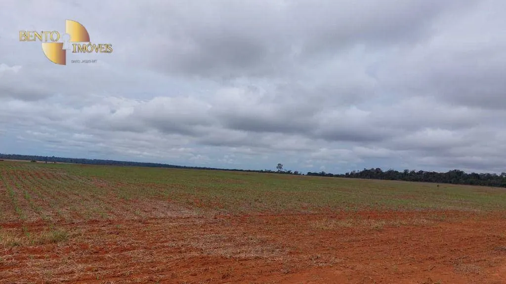 Fazenda à venda de 1.885 ha em Juína, MT, Brasil