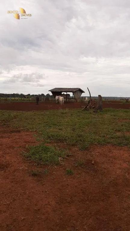 Fazenda à venda de 1.885 ha em Juína, MT, Brasil