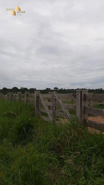 Fazenda à venda de 1.885 ha em Juína, MT, Brasil