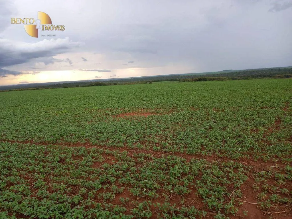 Fazenda à venda de 1.885 ha em Juína, MT, Brasil