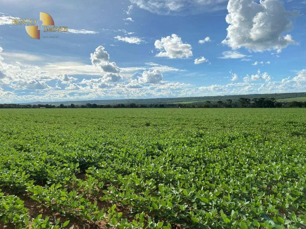 Fazenda à venda de 1.885 ha em Juína, MT, Brasil