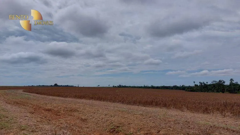 Fazenda à venda de 1.885 ha em Juína, MT, Brasil