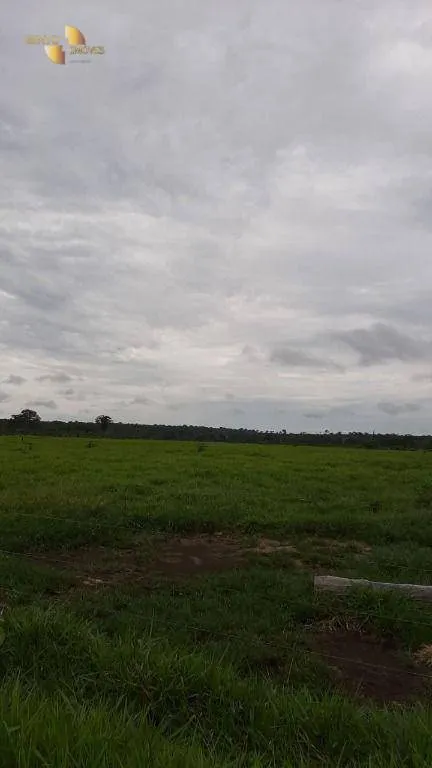 Fazenda à venda de 1.885 ha em Juína, MT, Brasil