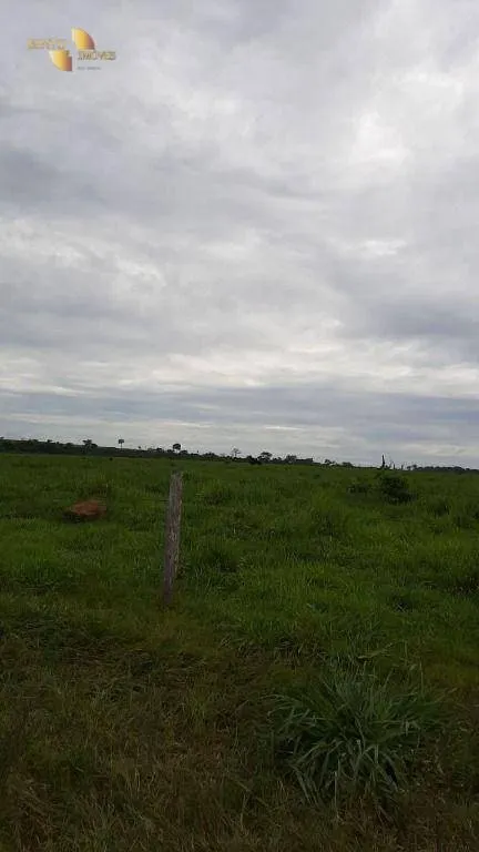 Fazenda à venda de 1.885 ha em Juína, MT, Brasil